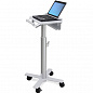 Рабочее место Ergotron SV10-1100-0, StyleView Laptop Cart, SV10